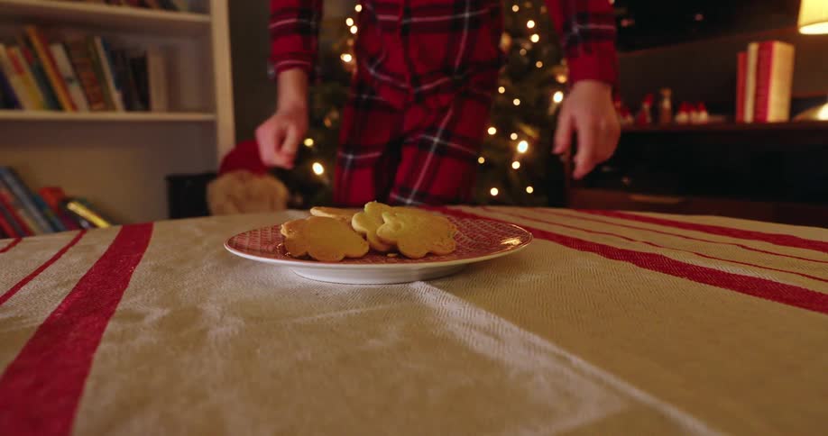 A boy puts cookies out for santa claus