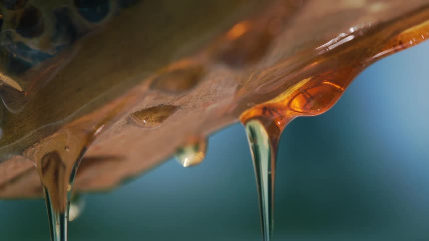 Honey slipping from some wood