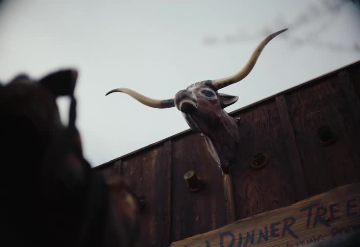 A mounted longhorn bull head is displayed on a wooden wall with a sign below