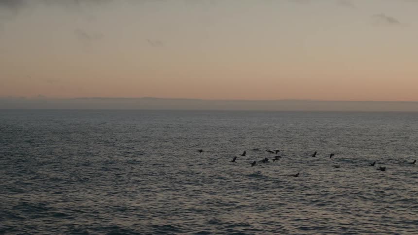Flock of birds flies through a red tinted sky passing over the shallow outcroppings emerging from the ocean water