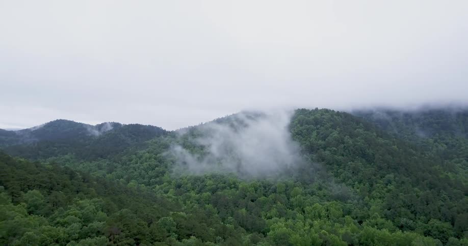 A cloud swirls near the top of a forested mountain