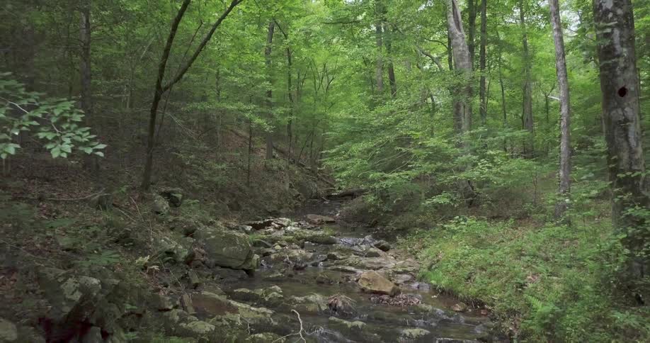 Water flows in a rocky stream in the forest