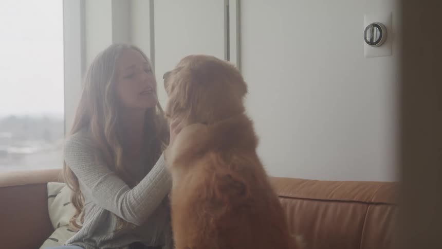 A woman with long blonde hair wearing a gray sweater sits on a couch and affectionately interacts with a golden retriever dog with a bright window in the background
