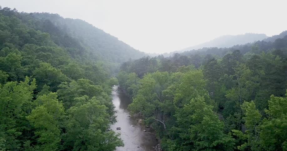A view of a creek surrounded by woods