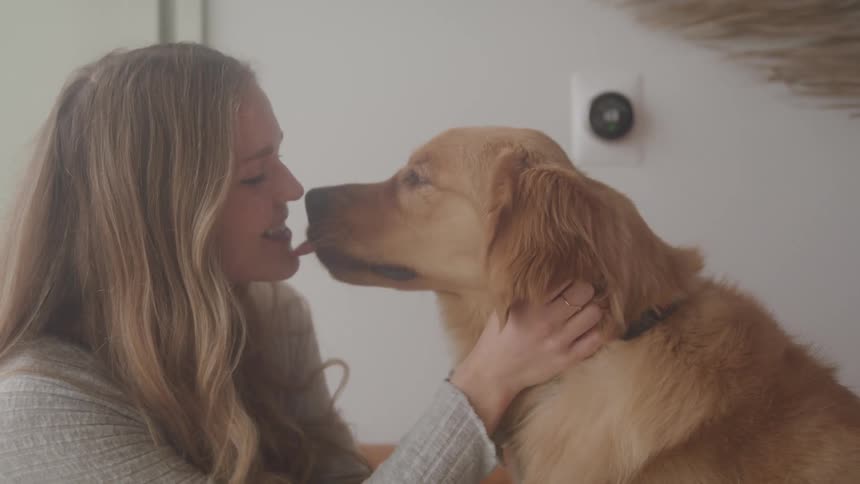 A footage of a lady playing with a dog