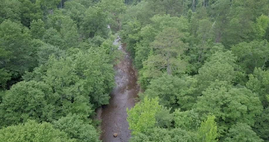 The trees below are surrounding a stream and go on the mountains on the side