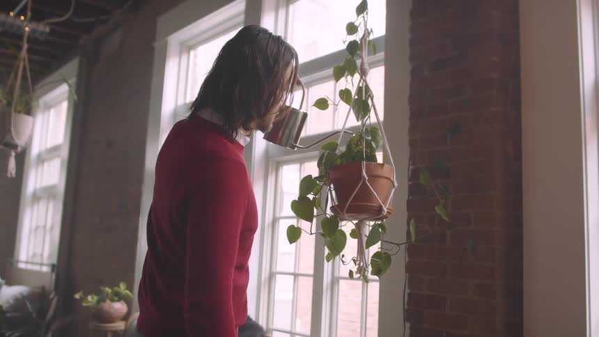 Man watering hanging potted plant with small metal watering can