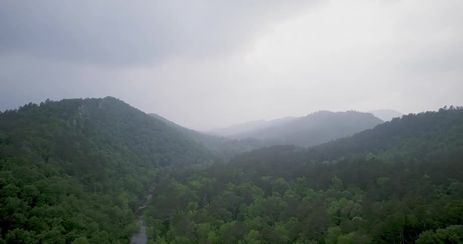 The range ahead is covered with trees and green