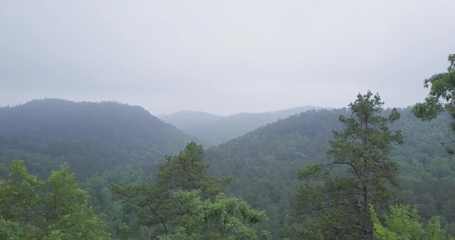 The hills are covered with trees on a foggy day