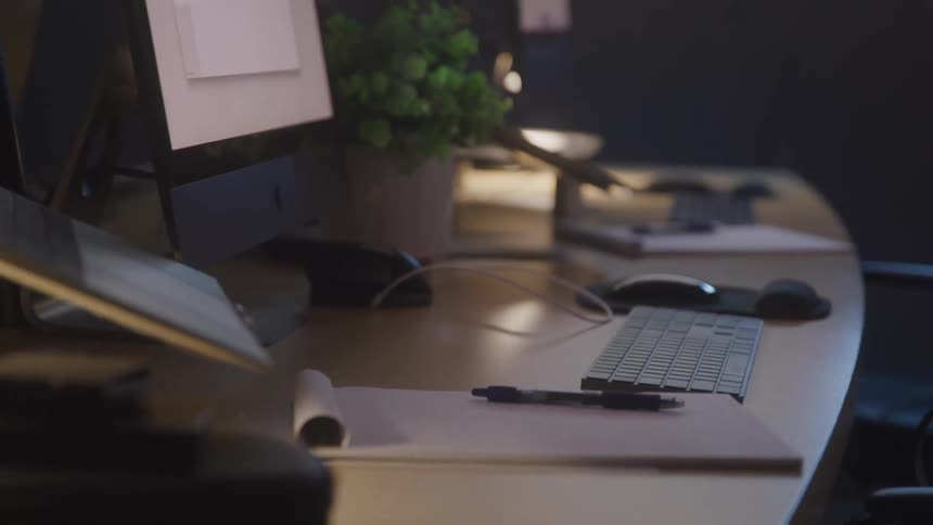 Potted plant separates two computer work spaces on a curved table