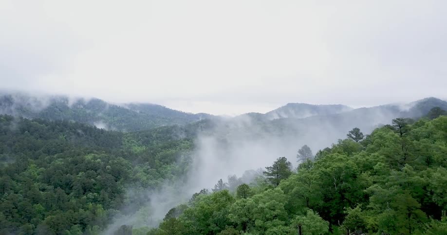 The hills are covered with fog and trees