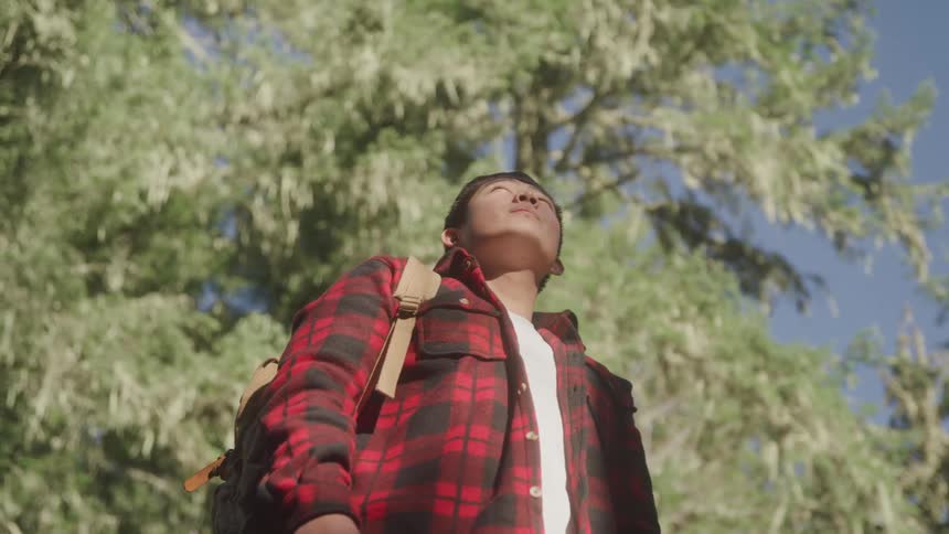 Boy in the middle of nature looking around