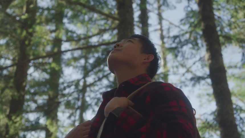 Male backpacker stands in a conifer forest and looks up
