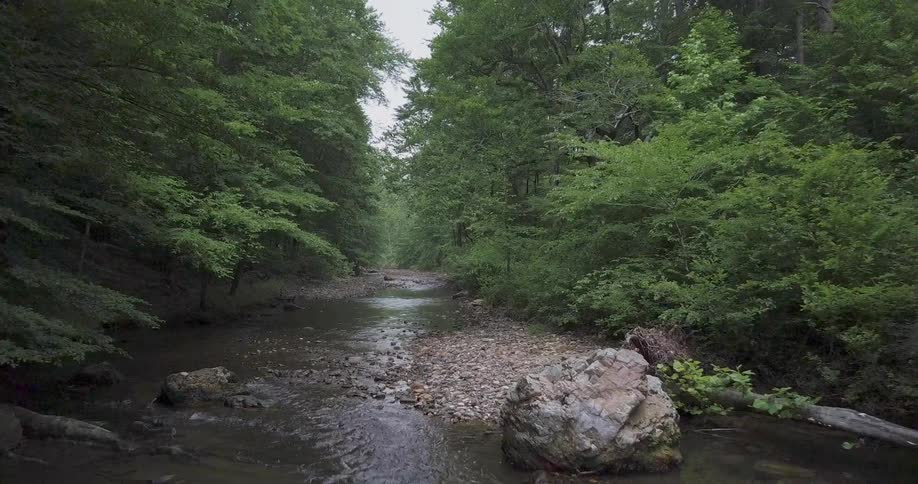 A river runs between rocks in a forested area