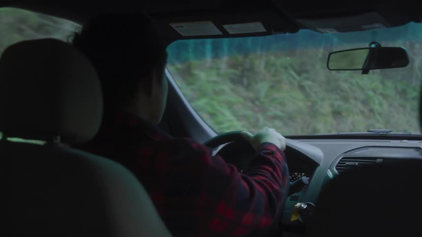 Man driving a car wearing a red and black plaid jacket he is driving down a road that has trees and shrubs and bushes on the shoulder of the road