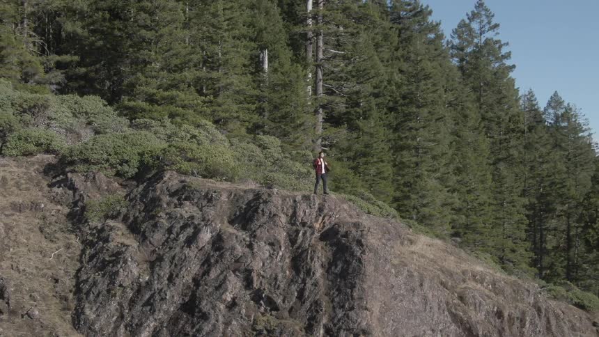 A person stands on a rocky cliff edge overlooking a lush forested landscape under a clear blue sky