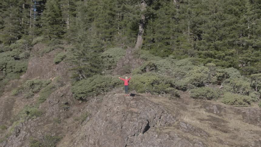 A person in a red jacket stands triumphantly with arms outstretched on a rocky outcrop overlooking a forested slope