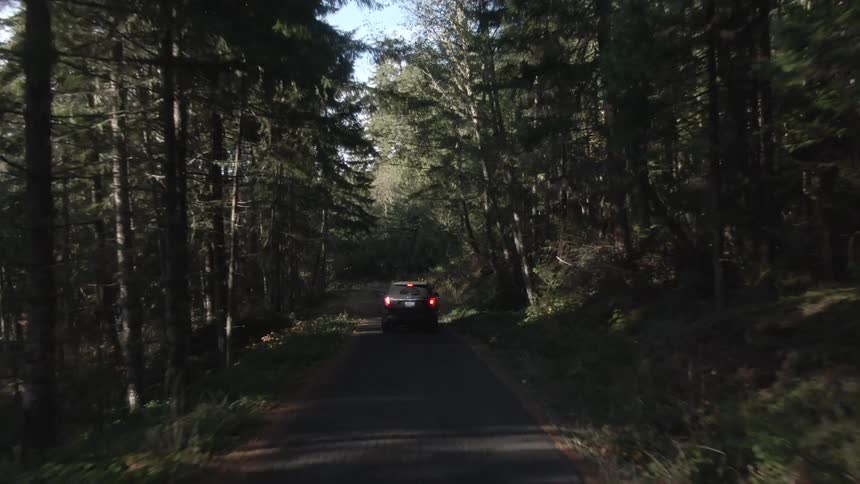 A vehicle drives along a narrow road through a dense sunlit forest creating a sense of journey and isolation within nature
