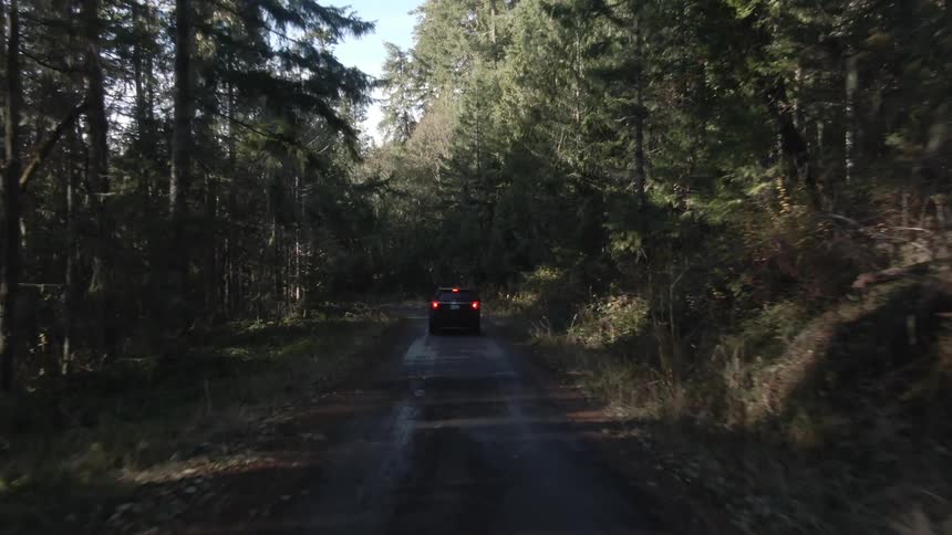 The car is driving on the dirt road past the trees