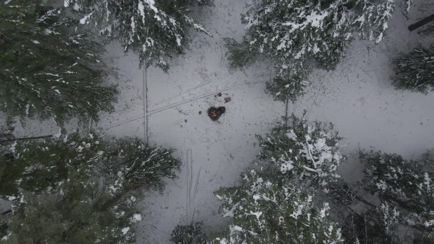 An aerial footage of a snow forest