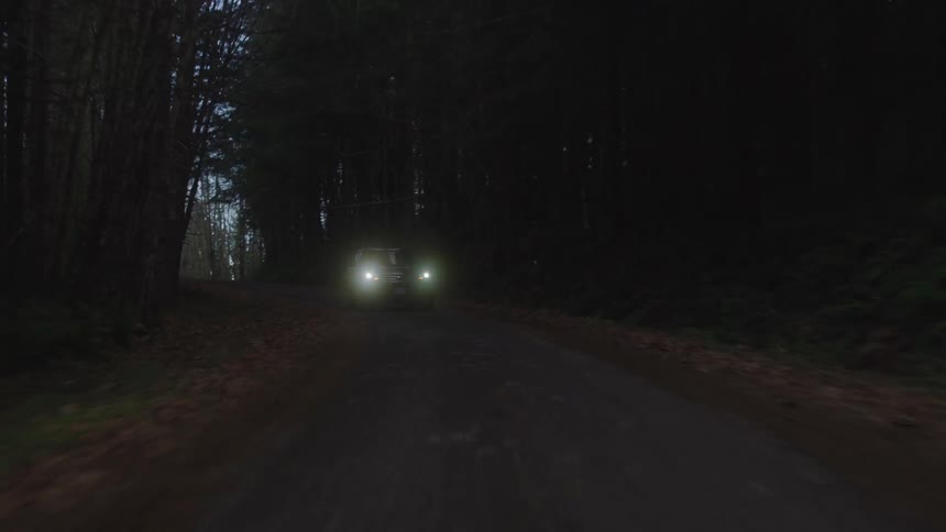 A car winds its way down a dirt road in a forest