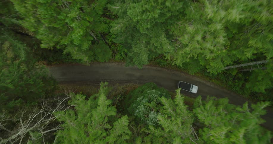 An aerial view of a vehicle driving along a dirt road through a dense green forest