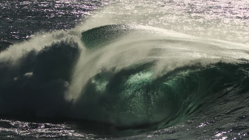 A dark wave curls in the ocean its surface reflecting sunlight