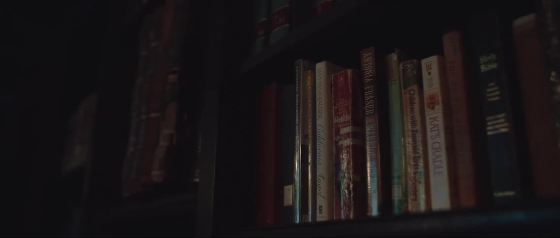 Gently used books displayed neatly on bookshelf in a darken room