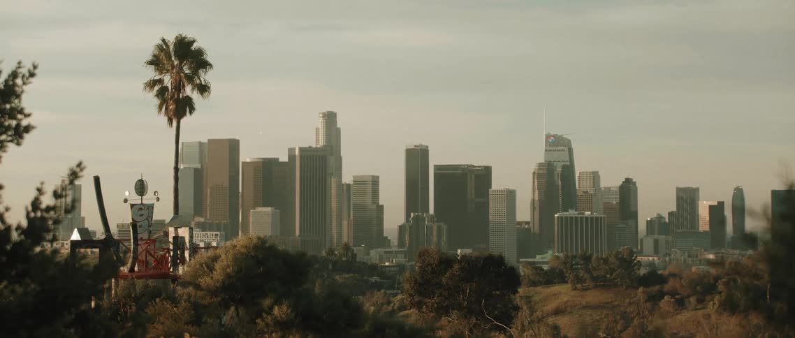 Tall buildings line the city in the distance