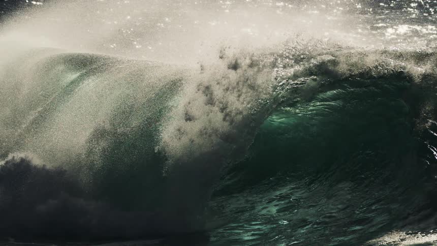 Sunlight glints off the spray of a powerful dark green ocean wave as it crashes highlighting its texture and movement in a dramatic contrast with the white foam