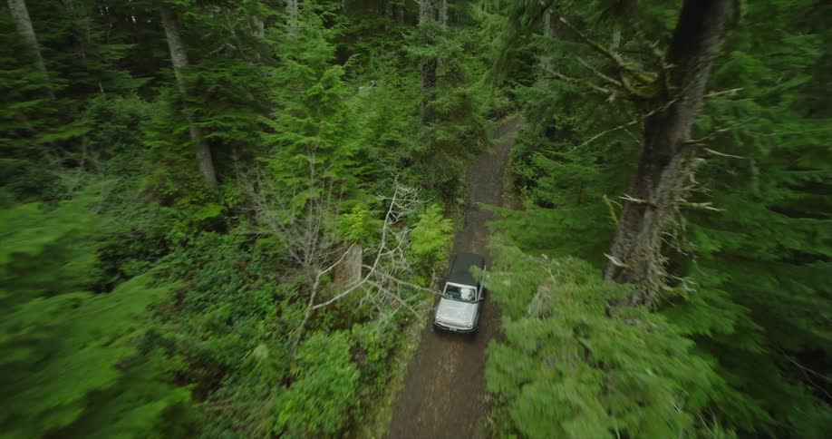 An aerial view of a light colored suv navigating a narrow dirt road through a dense green forest
