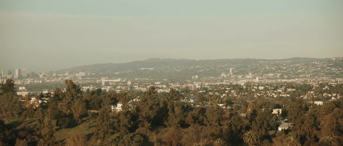 Aerial view of a city with numerous houses behind woodland