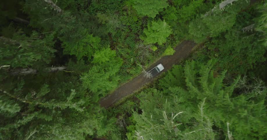 View of a car passing on a road in the middle of the forest