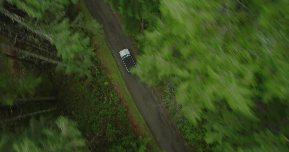 A white vehicle driving along a dirt road winding through a dense forest
