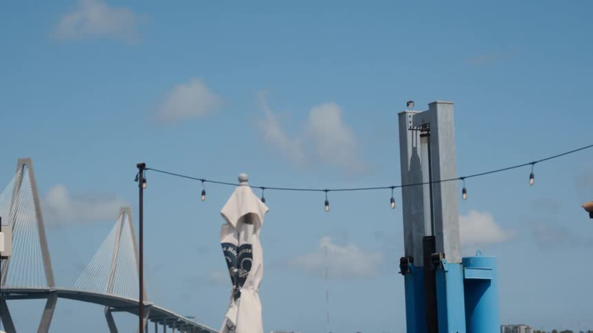 Seagull flying over a bathing establishment