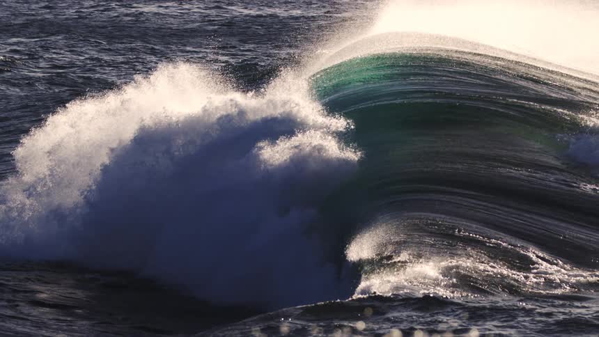 A large powerful wave its water a mix of deep green and white spray curls and crashes in the ocean with sunlight glinting off the surface and highlighting its texture and movement