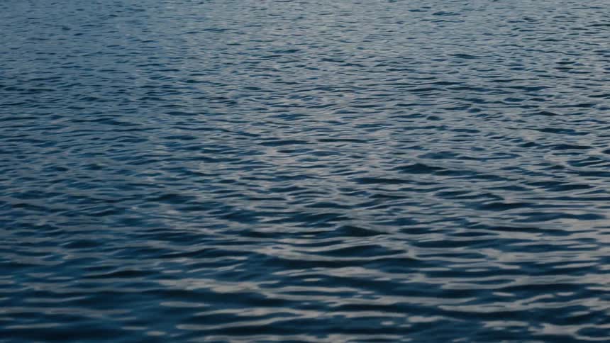 A clip of the ocean