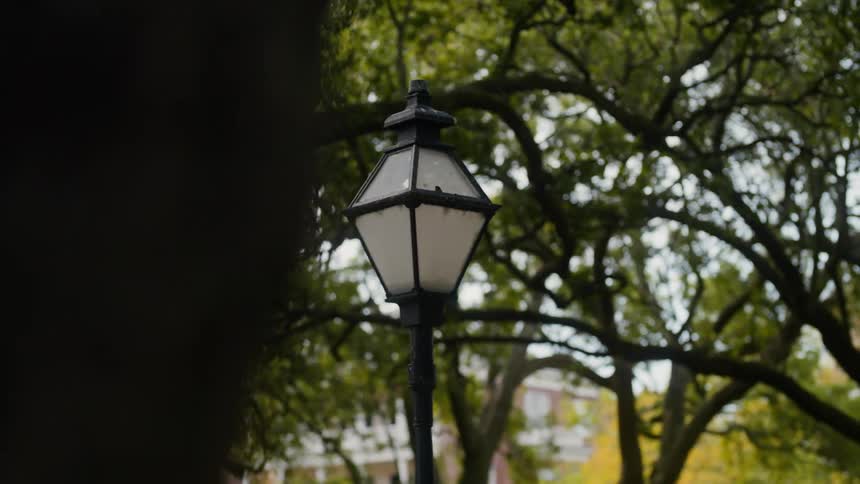 Lamppost in the middle of a park
