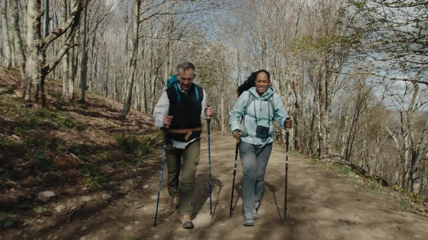 Two hikers with walking poles trek along a wooded trail on a bright sunny day