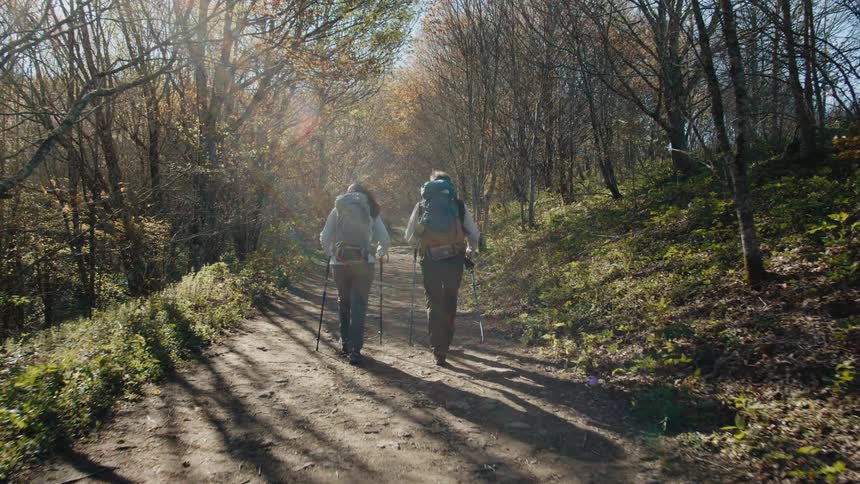 Couple hiking on trailhead through fall colored trees in the wilderness
