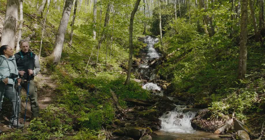 Two hikers with trekking poles pause on a forest trail alongside a cascading stream their attention drawn to the scenic waterfall in the distance