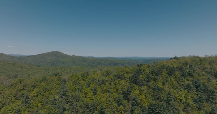 Aerial view of a lush forest covered in pine trees and mountains