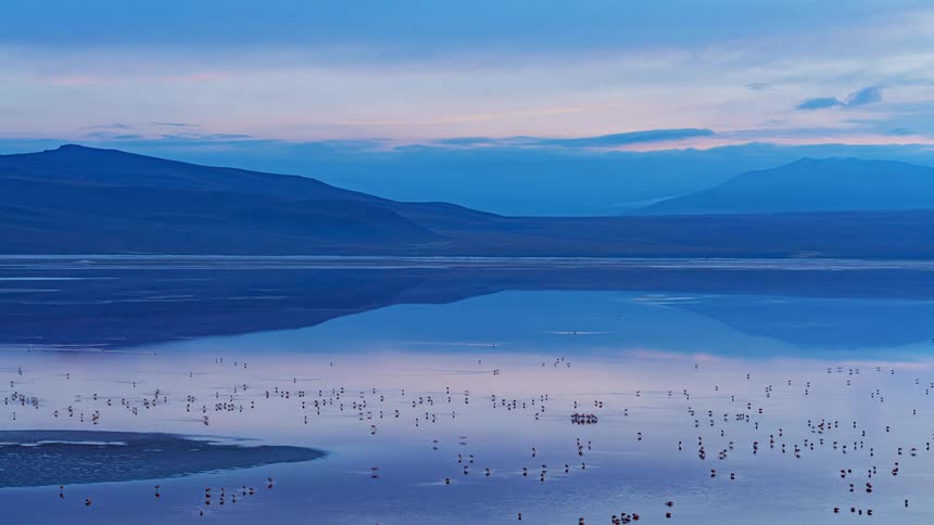 A lake filled with many birds reflecting a blue and pinkish sky with mountains in the distance