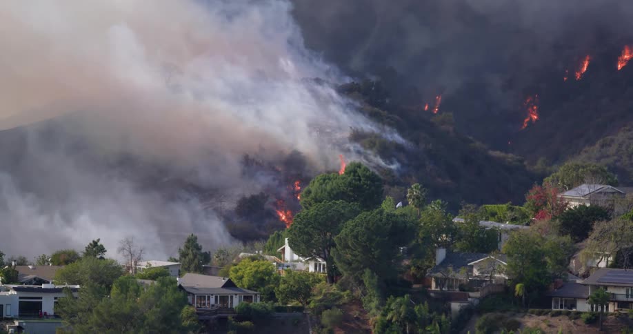 Flames erupt on a hillside amongst trees and houses with a large plume of smoke rising above