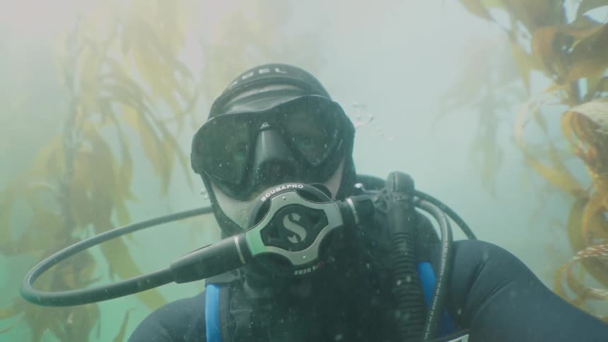 Scuba diver swimming through seaweed in the ocean