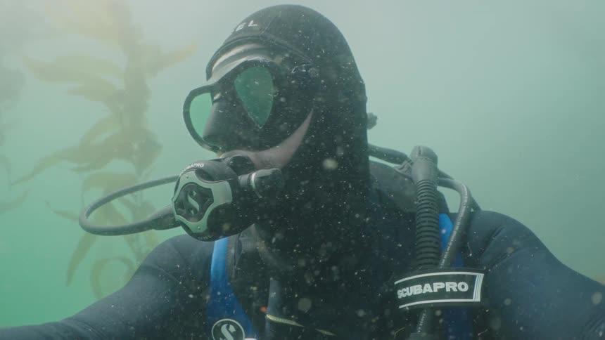 Scuba diver exploring underwater near kelp in the ocean