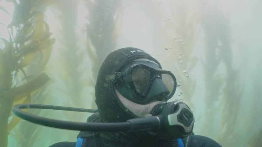 A footage of a diver underwater