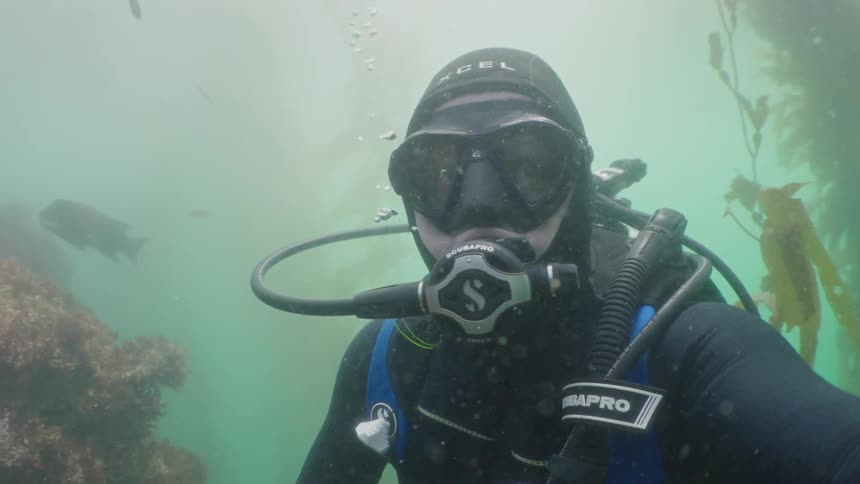 A man is scuba diving in the murky waters