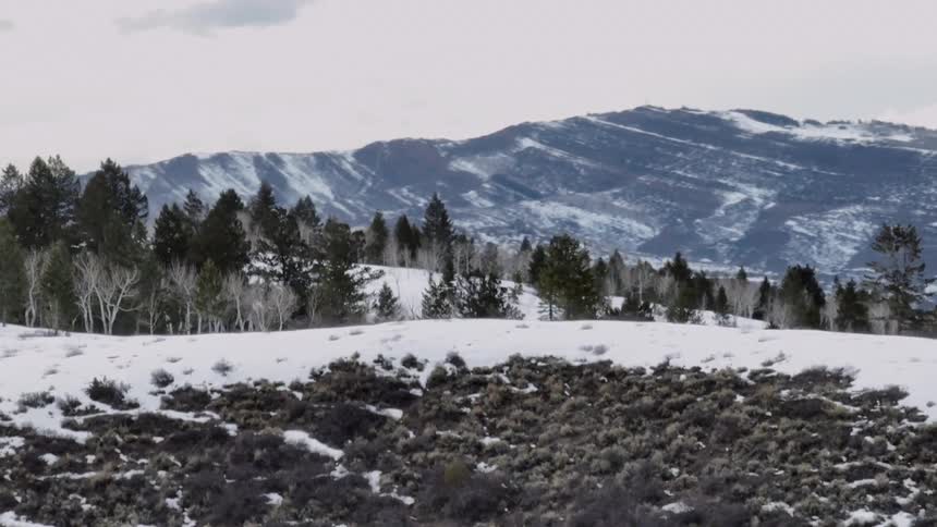 A snow covered landscape features a mix of evergreen and bare trees against a backdrop of a large snow streaked mountain under a cloudy sky