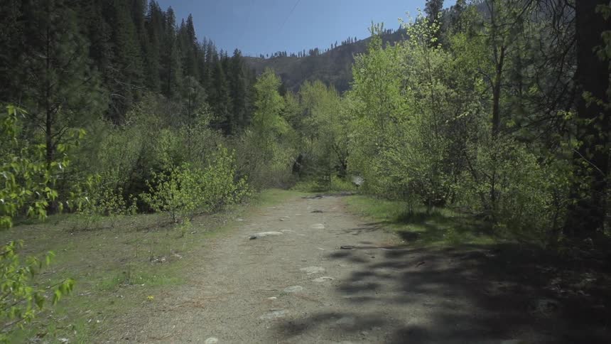 A dirt trail in a forest